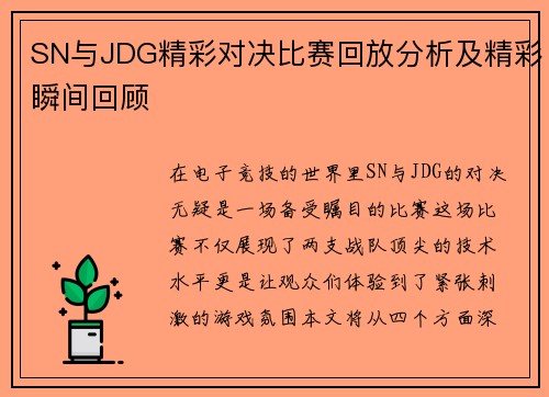 SN与JDG精彩对决比赛回放分析及精彩瞬间回顾
